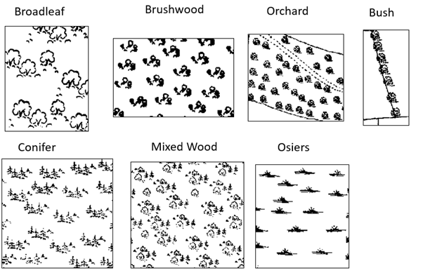 An example of different types of tree symbols on historic maps