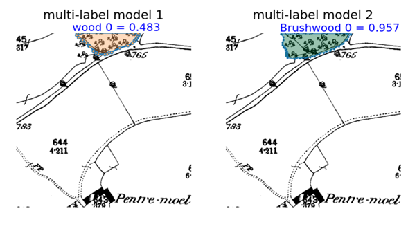 An example of different predictions of brushwood between the two versions of the model